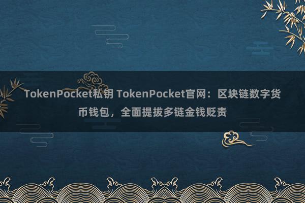 TokenPocket私钥 TokenPocket官网：区块链数字货币钱包，全面提拔多链金钱贬责